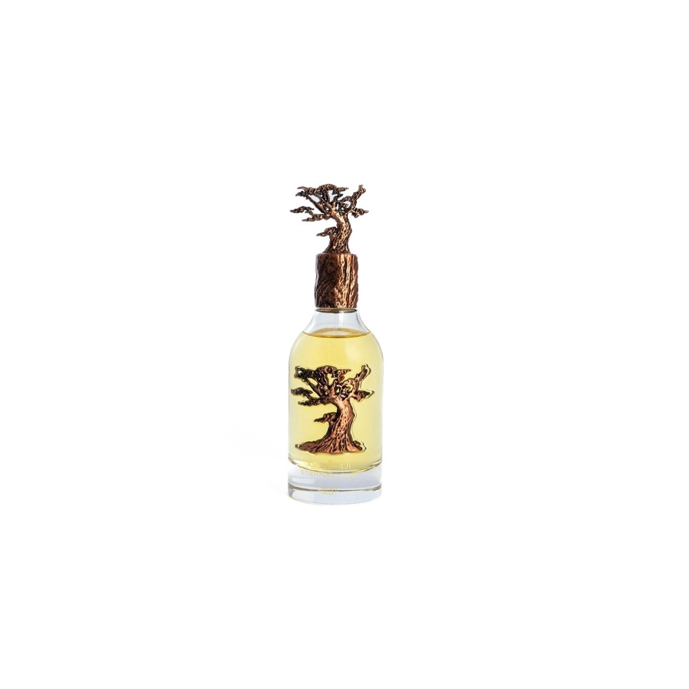 Produktbild för Lattafa Pride Eternal Oud Eau De Parfum 100ml Unisex Fragran...