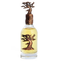 Produktbild för Lattafa Pride Eternal Oud Eau De Parfum 100ml Unisex Fragran...