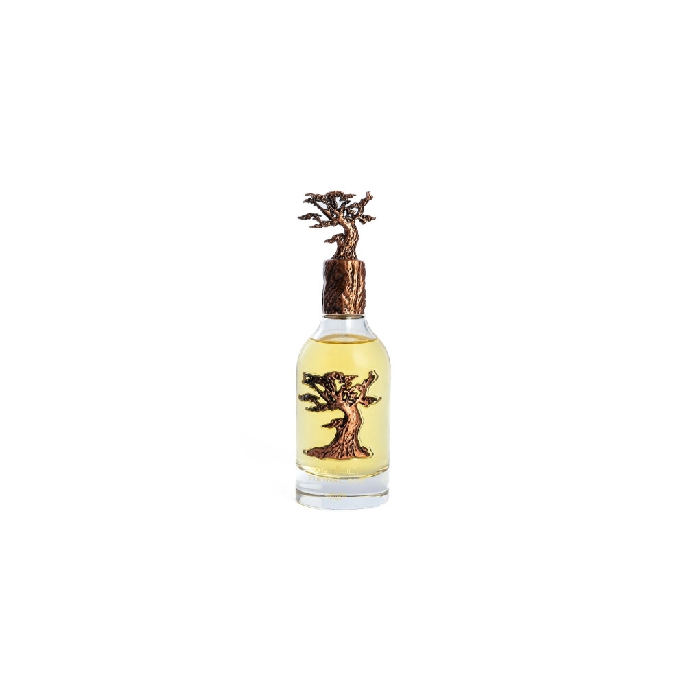 Produktbild för Lattafa Pride Eternal Oud Eau De Parfum 100ml Unisex Fragran...