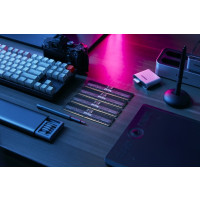 Produktbild för Kingston FURY Renegade Pro