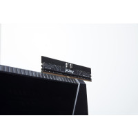 Produktbild för Kingston FURY Renegade Pro