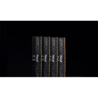 Produktbild för Kingston FURY Renegade Pro