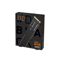 Produktbild för WD_BLACK SN770 WDS250G3X0E - SSD - 250 GB - PCIe 4.0 x4 (NVMe)