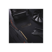 Produktbild för WD_BLACK SN770 WDS250G3X0E - SSD - 250 GB - PCIe 4.0 x4 (NVMe)