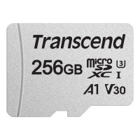 Produktbild för microSDXC 256GB U3 (R95/W40)