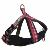 KENNEL EQUIP Dog Multi Harness Active