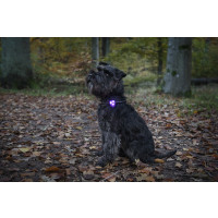 Produktbild för Dogman Blinklampa Basic LED Gul 8cm