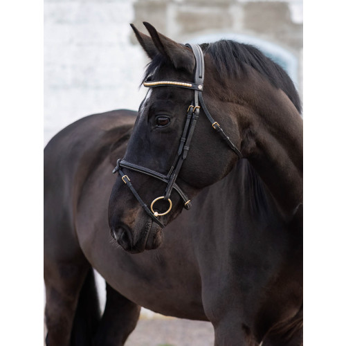 JACSON California Aachenträns Svart Cob