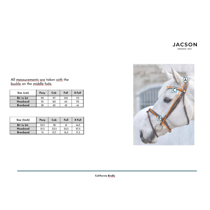 Produktbild för Jacson California Aachenträns Svart Cob Musta