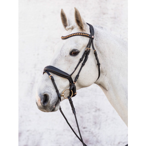 JACSON Cleveland Dressyrträns Svart Cob
