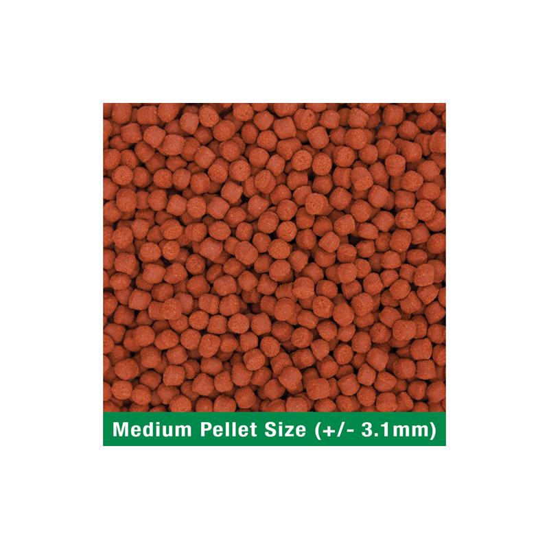 Produktbild för Ocean Nutrition Formula One pellets M 400g