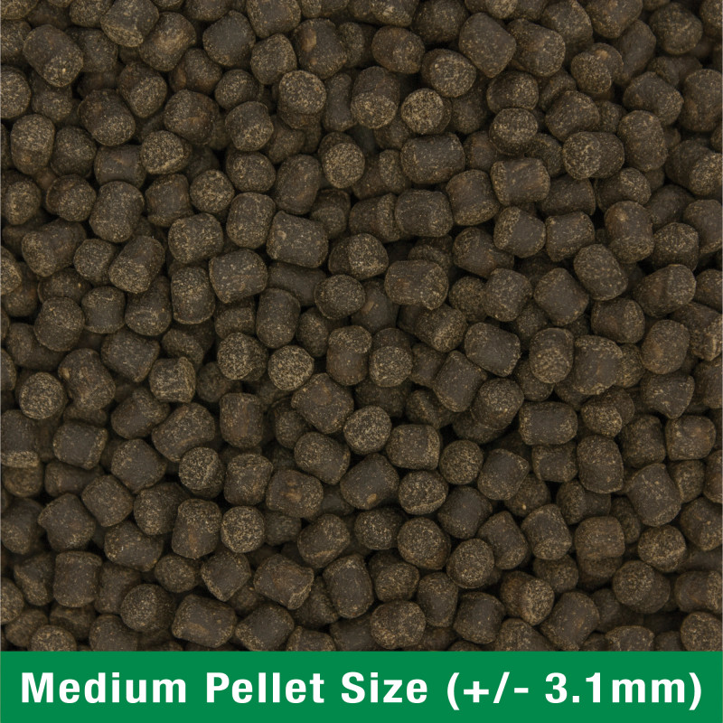 Produktbild för Ocean Nutrition Formula Two pellets M 400g
