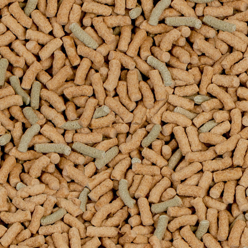 Produktbild för Sera Raffy P Nature pellets 1000ml