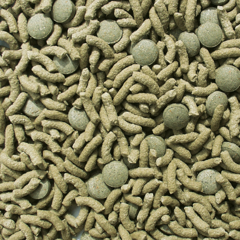 Produktbild för Sera Raffy Vital Nature pellets 1000ml