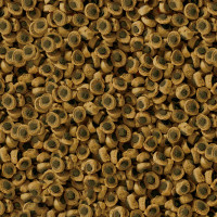 SERA Professional Herbivor pellets