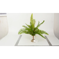 Miniatyr av produktbild för Dogman Dekor Palm Grön XL 39cm