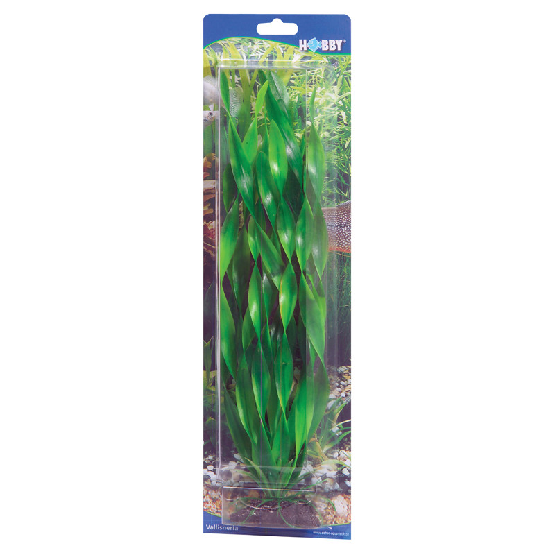 Produktbild för Hobby Dekorväxt Vallisneria Grön 20cm