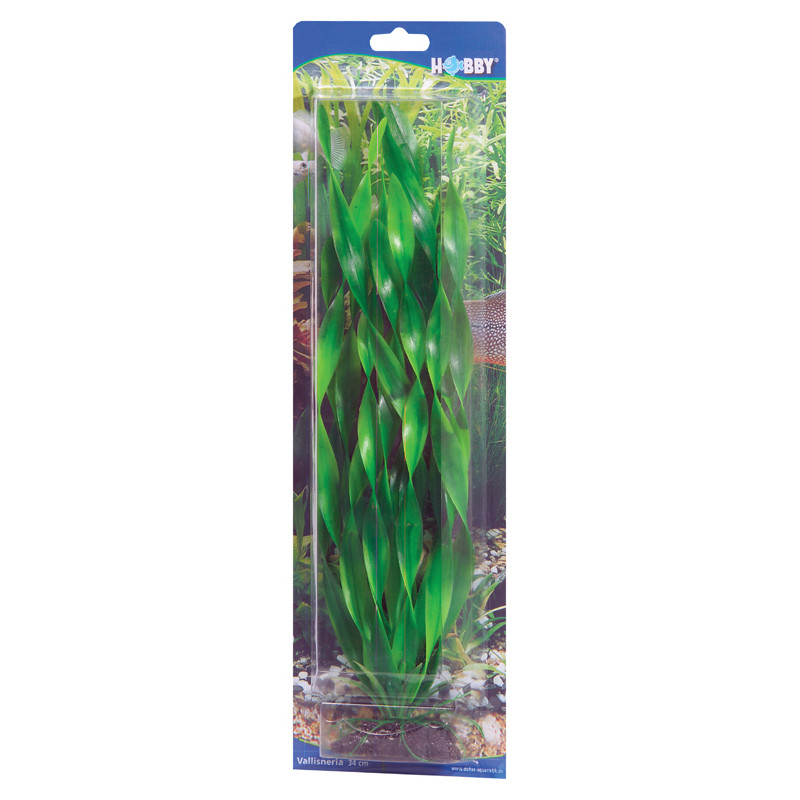 Produktbild för Hobby Dekorväxt Vallisneria Grön 34cm