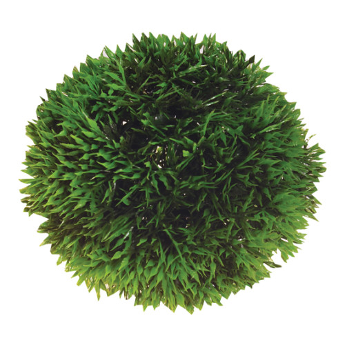 HOBBY Hobby Dekorväxt Plant Ball Grön 9cm