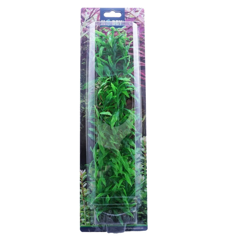 Produktbild för Hobby Dekorväxt Heteranthera Grön 34cm Green