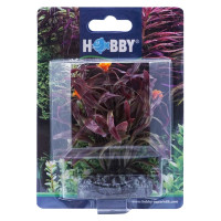 Miniatyr av produktbild för Hobby Dekorväxt Nesaea Röd 7cm