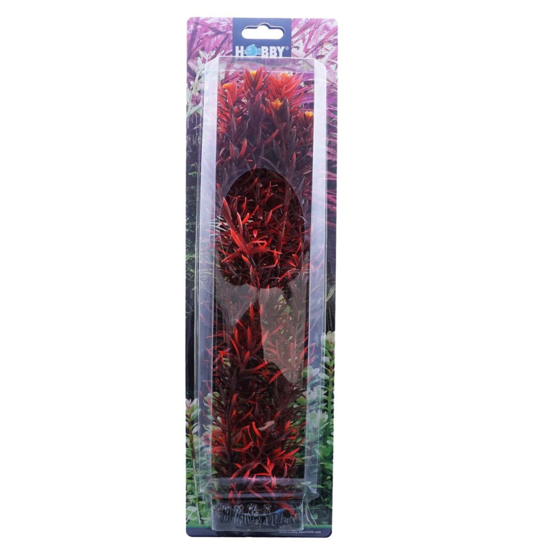 Produktbild för Hobby Dekorväxt Eusteralis Röd 20cm