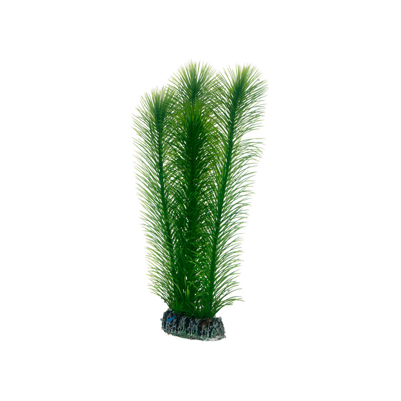 Produktbild för Hobby Dekorväxt Mayaca Grön 25cm