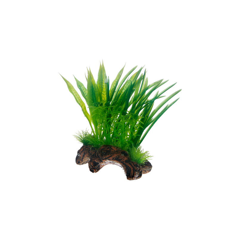 Produktbild för Hobby Dekor Flora Root 1 Grön S 17cm