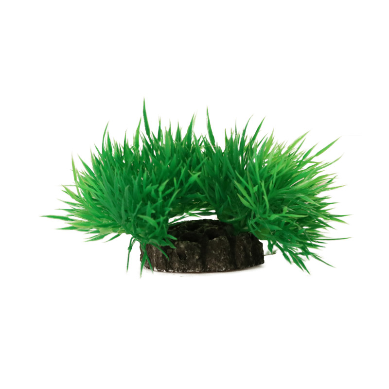 Produktbild för Aquael Dekorväxt Grön XS 7cm