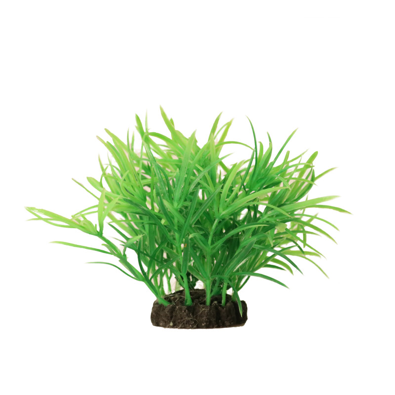 Produktbild för Aquael Dekorväxt Grön S 10cm Grønn