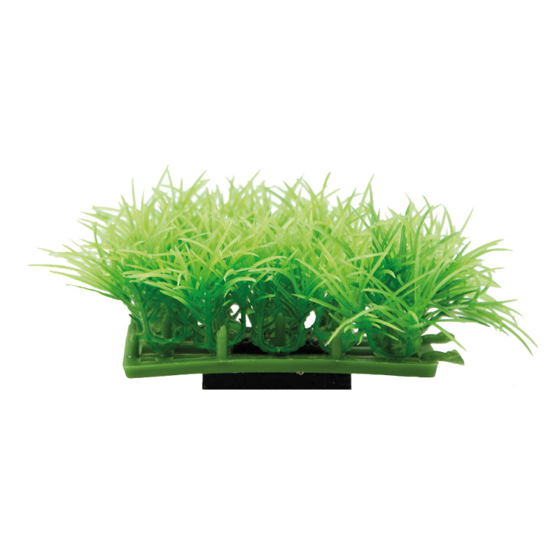 Produktbild för Hobby Dekorväxt Plant pad 2 Grön 7cm
