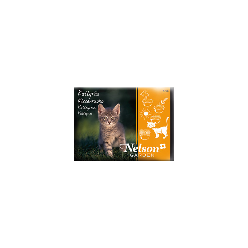 Produktbild för Kattgräs i fröpåse 25 g