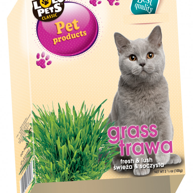 Produktbild för Kattgräs i låda Lolopets 100 g