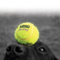 Miniatyr av produktbild för Hundleksak Kong Air Squeaker Tennisboll XL 10,5cm