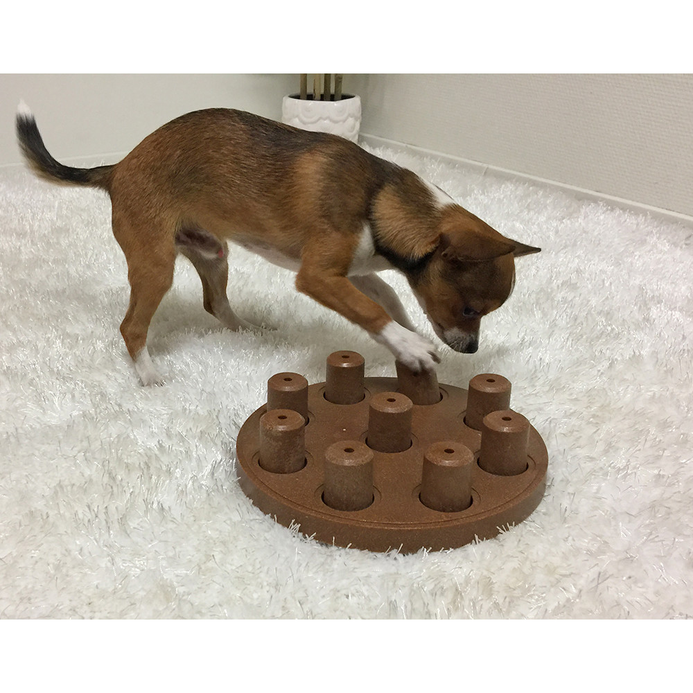 Produktbild för DogSmart Composite Orange Nina Ottosson 28x28x4 cm