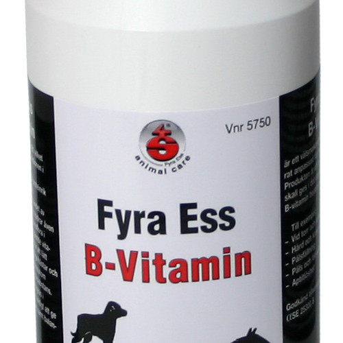 Skillingarydsalvan B-vitamin 4S 500 ml