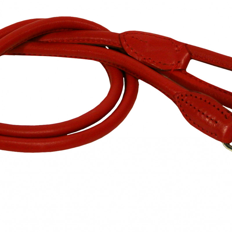 Produktbild för Koppel runt mjukt  Läder Rött 6mm/180 cm