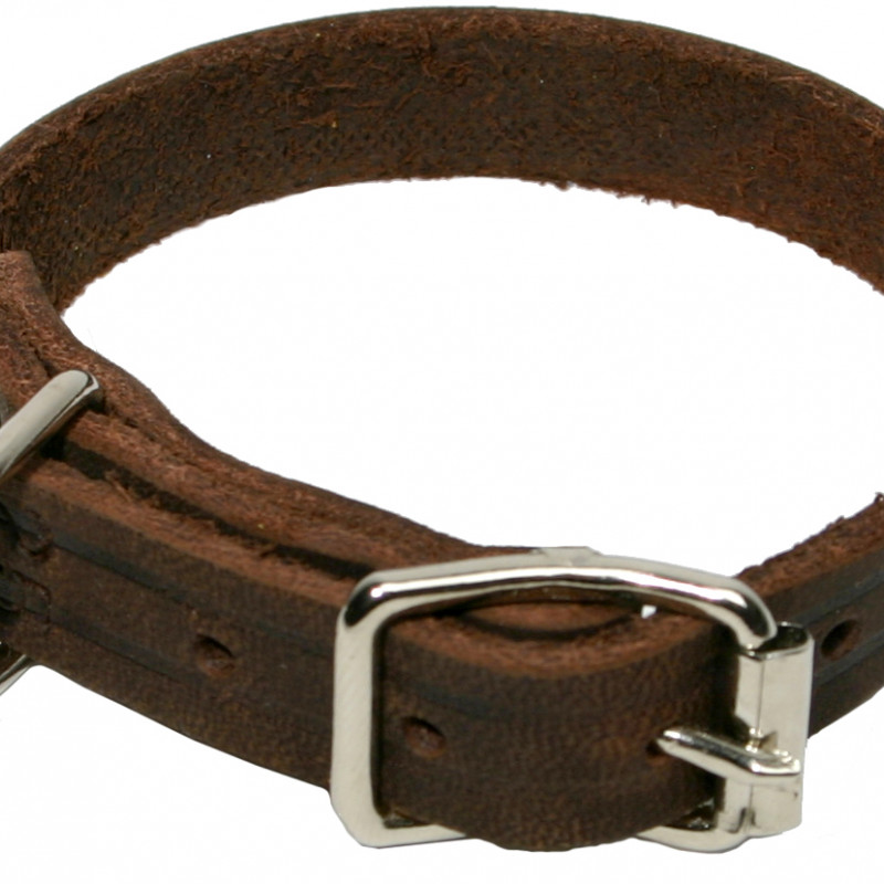 Produktbild för Halsband Läder Alac brun fettat 12mm/25cm