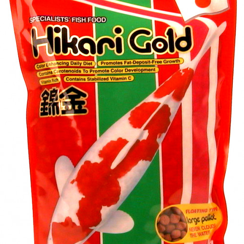 Hikari Hikari Gold Färg Large 500 g