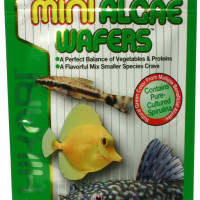 Hikari Hikari Mini-Algae Wafers 22 g