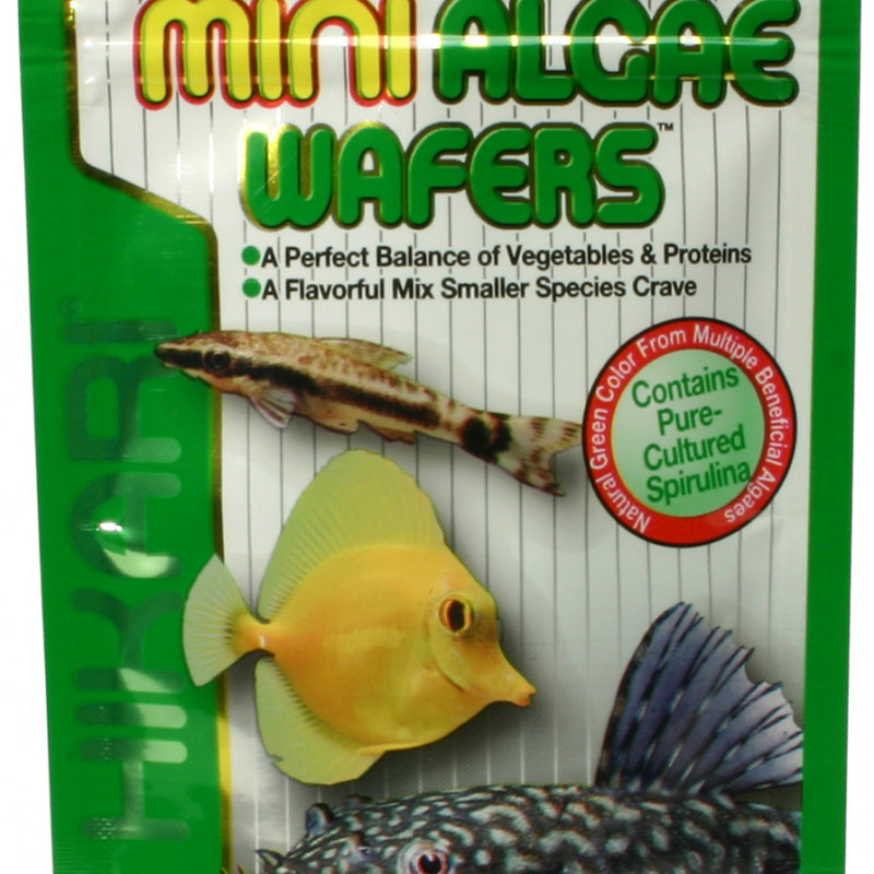 Produktbild för Hikari Mini-Algae Wafers 22 g