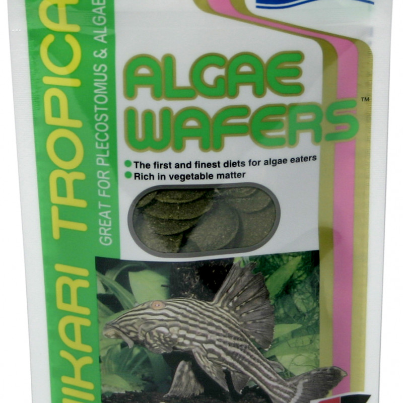 Produktbild för Hikari Algae Wafers 40 g