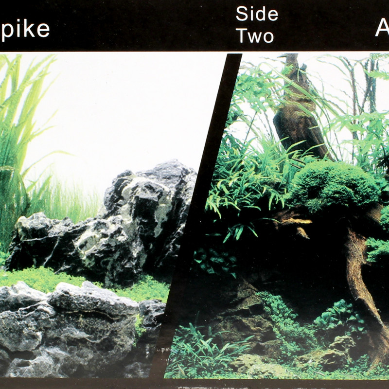 Produktbild för Seaview Bakgrund Green Spike/Amazonia 15m/45cm