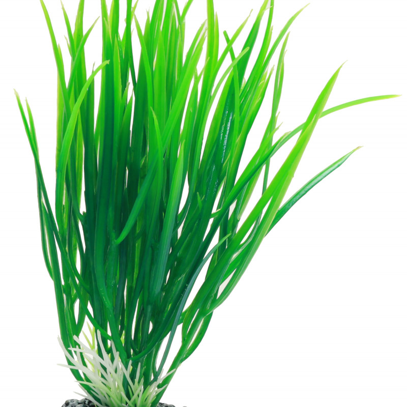 Produktbild för Plastväxt Cyperus Hobby 16cm