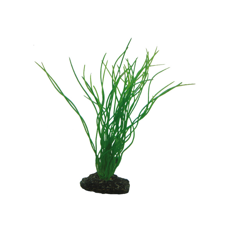 Produktbild för Plastväxt Sagittaria Hobby 20cm