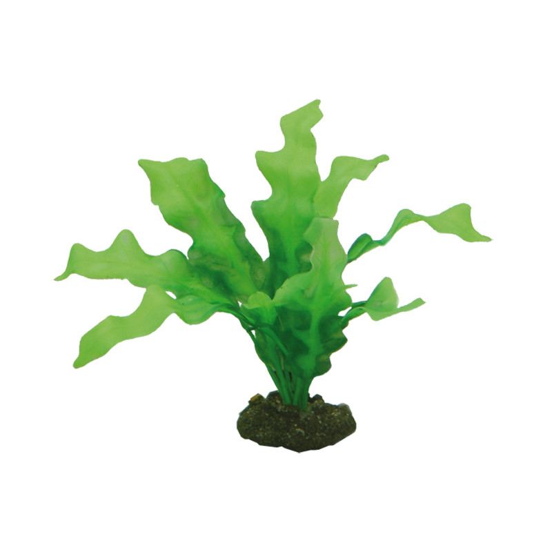 Produktbild för Plastväxt Echinodrus Hobby 20cm