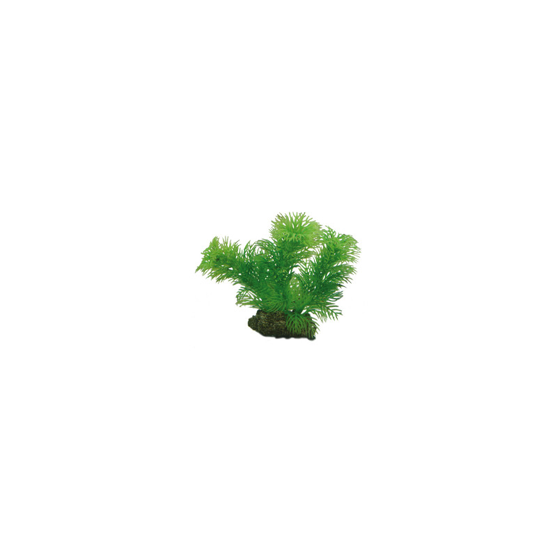 Produktbild för Plastväxt Egeria Hobby 13cm