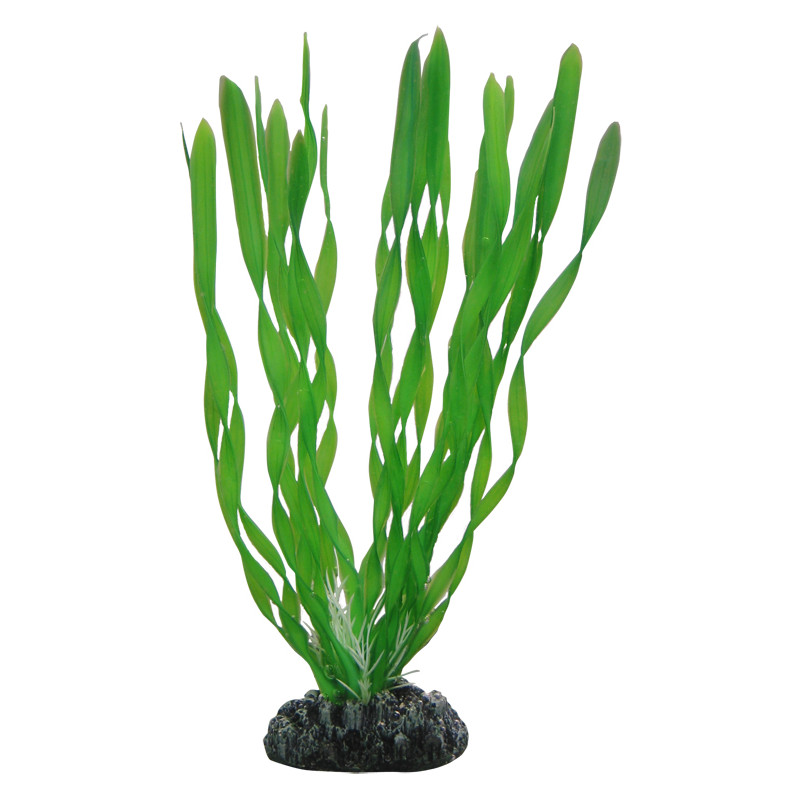 Produktbild för Plastväxt Vallisneria Hobby 20cm