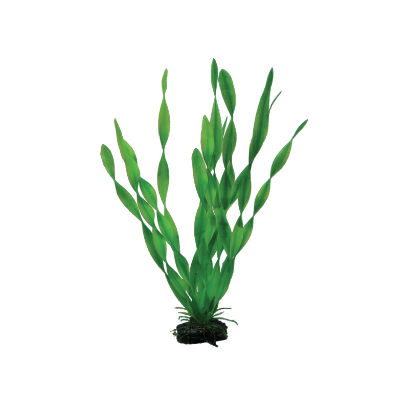 Produktbild för Plastväxt Vallisneria Hobby 34cm