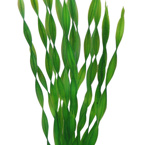 HOBBY Plastväxt Vallisneria Hobby 46cm